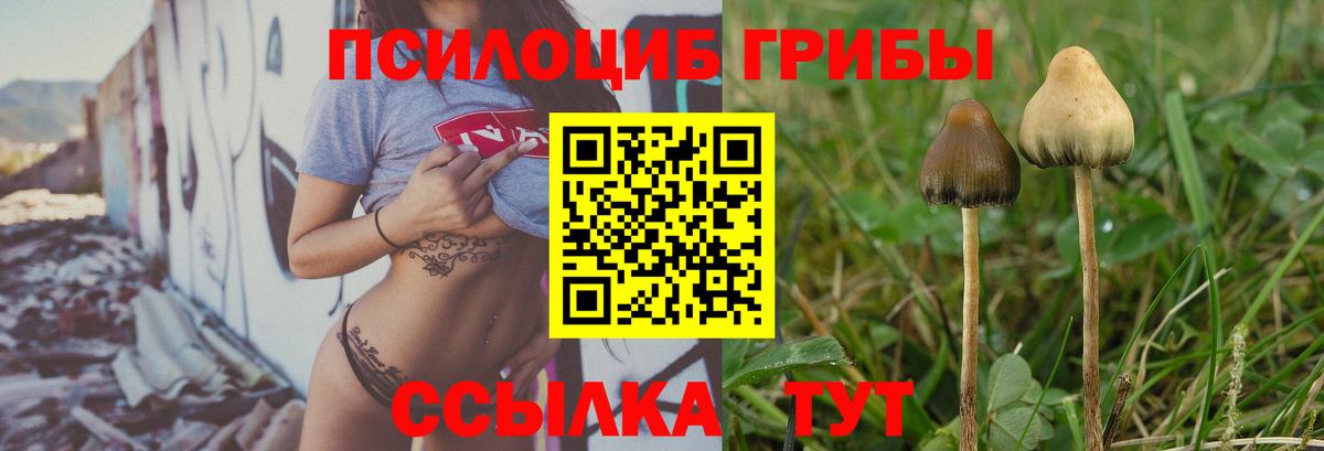 Псилоцибиновые грибы мицелий Елабуга