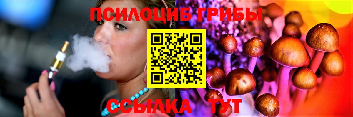 Галлюциногенные грибы мицелий  где купить наркоту  Елабуга  Вход с VPN 