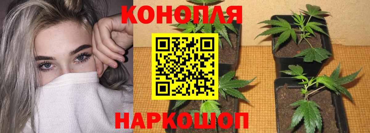 Конопля THC 21%  Вход с VPN  МАРИХУАНА индика  Марихуана тримм  Елабуга 